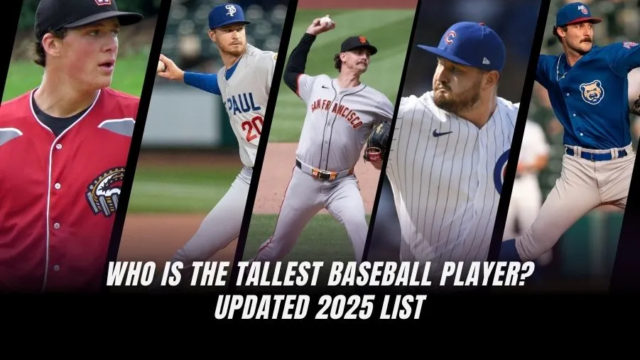 Who is the Tallest Baseball Player in 2025? Top 10 Ranked